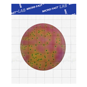 MicroFast® Lactic Acid Bacteria Count Plate Подложка для определения Молочнокислых микроорганизмов ( каталожный номер LR1312)