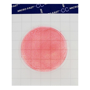 MicroFast® Coliform Count Plate Подложка для определения количества колиформных бактерий (каталожный номер LR1002)