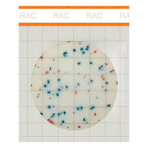 Microfast® Rapid Aerobic Count plate Подложка для ускоренного определения КМАФАнМ, (каталожный номер LR1321)