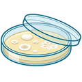 Микробиология